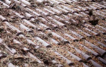 Plardiwick roof cleaning companies