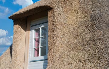 Plardiwick thatch roof disadvantages